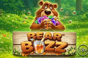 Playtech : Bear Buzz - HEROBET168